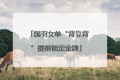 国羽女单“背靠背”提前锁定金牌