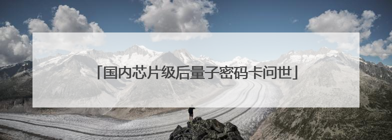 国内芯片级后量子密码卡问世