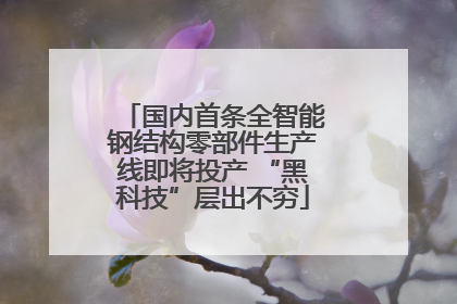 国内首条全智能钢结构零部件生产线即将投产 “黑科技”层出不穷
