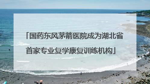 国药东风茅箭医院成为湖北省首家专业复学康复训练机构