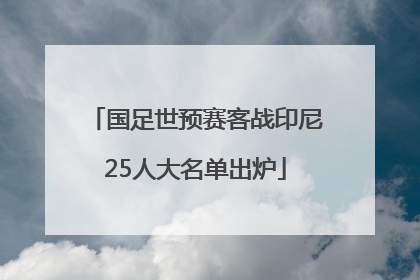 国足世预赛客战印尼25人大名单出炉