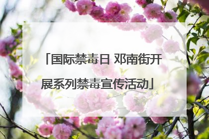 国际禁毒日 邓南街开展系列禁毒宣传活动
