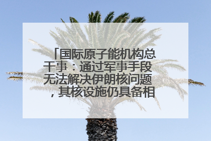 国际原子能机构总干事：通过军事手段无法解决伊朗核问题，其核设施仍具备相关产能，只需要数月就能生产出浓缩铀