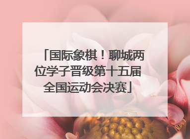 国际象棋！聊城两位学子晋级第十五届全国运动会决赛
