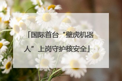 国际首台“壁虎机器人”上岗守护核安全
