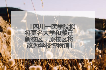 四川一医学院拟将更名大学和搬迁新校区，原校区将改为学校博物馆