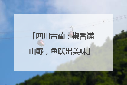 四川古蔺：椒香满山野，鱼跃出美味