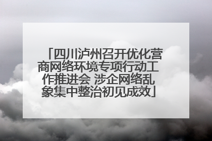 四川泸州召开优化营商网络环境专项行动工作推进会 涉企网络乱象集中整治初见成效