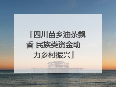四川苗乡油茶飘香 民族类资金助力乡村振兴