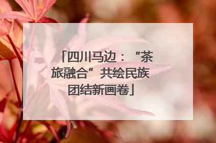 四川马边：“茶旅融合”共绘民族团结新画卷