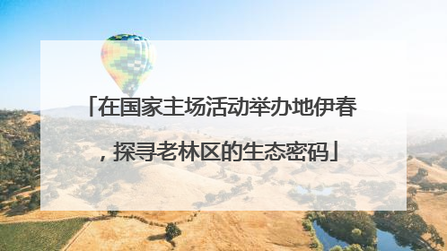在国家主场活动举办地伊春，探寻老林区的生态密码