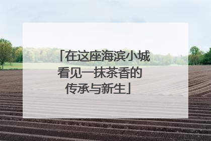 在这座海滨小城 看见一抹茶香的传承与新生