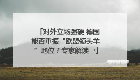 对外立场强硬 德国能否重振“欧盟领头羊”地位？专家解读→