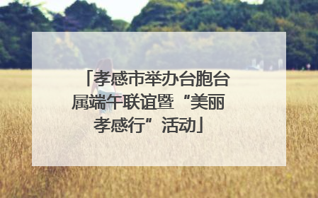 孝感市举办台胞台属端午联谊暨“美丽孝感行”活动