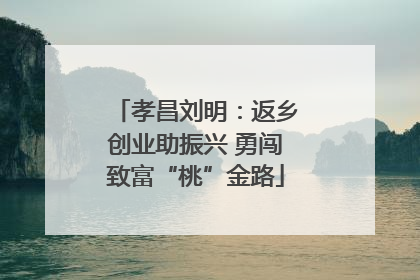 孝昌刘明：返乡创业助振兴 勇闯致富“桃”金路