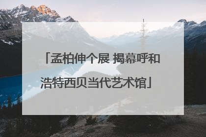 孟柏伸个展 揭幕呼和浩特西贝当代艺术馆