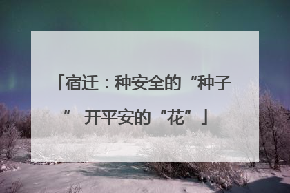 宿迁：种安全的“种子” 开平安的“花”