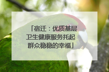 宿迁：优质基层卫生健康服务托起群众稳稳的幸福