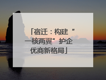 宿迁：构建“一核两翼”护企优商新格局