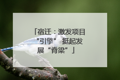 宿迁：激发项目“引擎” 挺起发展“脊梁”