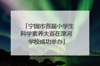 宁国市首届小学生科学素养大赛在津河学校成功举办