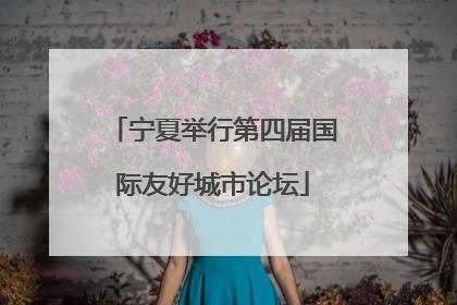 宁夏举行第四届国际友好城市论坛