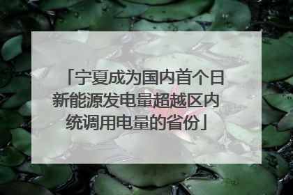宁夏成为国内首个日新能源发电量超越区内统调用电量的省份