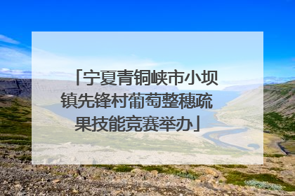宁夏青铜峡市小坝镇先锋村葡萄整穗疏果技能竞赛举办