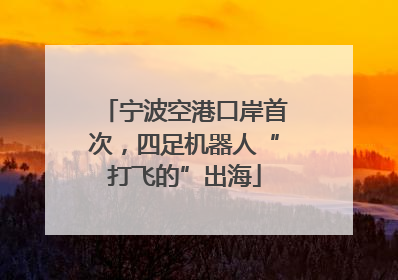 宁波空港口岸首次，四足机器人“打飞的”出海
