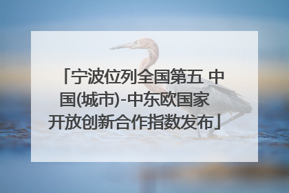 宁波位列全国第五 中国(城市)-中东欧国家开放创新合作指数发布