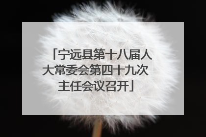 宁远县第十八届人大常委会第四十九次主任会议召开