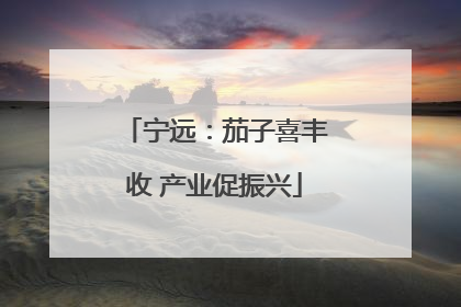宁远：茄子喜丰收 产业促振兴