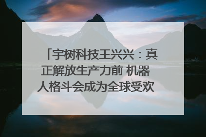 宇树科技王兴兴：真正解放生产力前 机器人格斗会成为全球受欢迎的赛事｜科技观察