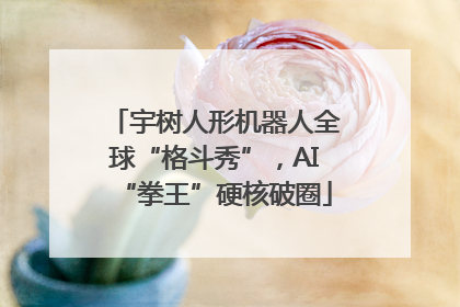 宇树人形机器人全球“格斗秀”，AI“拳王”硬核破圈