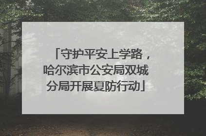 守护平安上学路，哈尔滨市公安局双城分局开展夏防行动