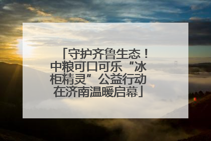 守护齐鲁生态！中粮可口可乐“冰柜精灵”公益行动在济南温暖启幕