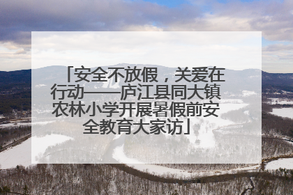 安全不放假，关爱在行动——庐江县同大镇农林小学开展暑假前安全教育大家访