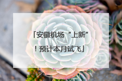安徽机场“上新”！预计本月试飞