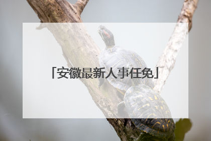 安徽最新人事任免
