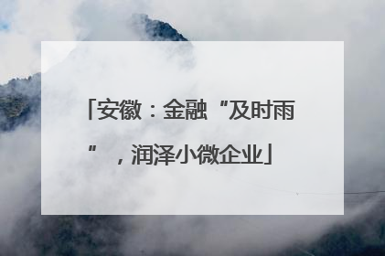 安徽：金融“及时雨”，润泽小微企业
