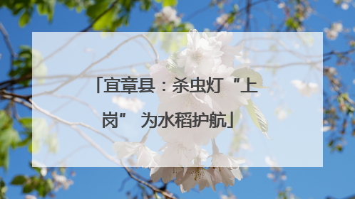 宜章县：杀虫灯“上岗” 为水稻护航
