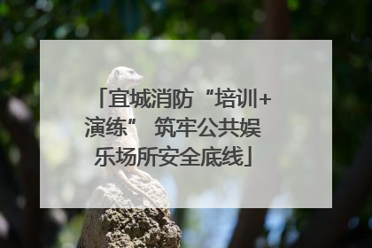 宜城消防“培训+演练” 筑牢公共娱乐场所安全底线