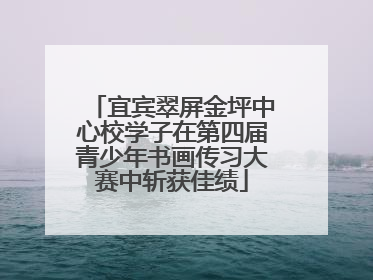 宜宾翠屏金坪中心校学子在第四届青少年书画传习大赛中斩获佳绩