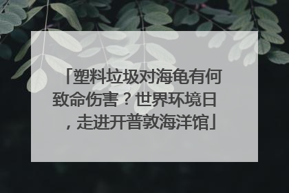 塑料垃圾对海龟有何致命伤害？世界环境日，走进开普敦海洋馆