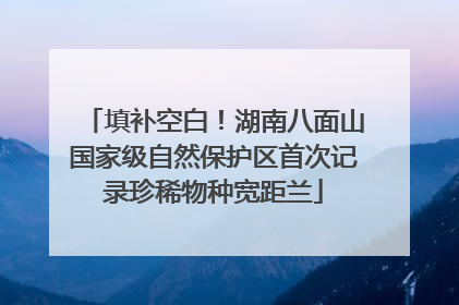 填补空白！湖南八面山国家级自然保护区首次记录珍稀物种宽距兰