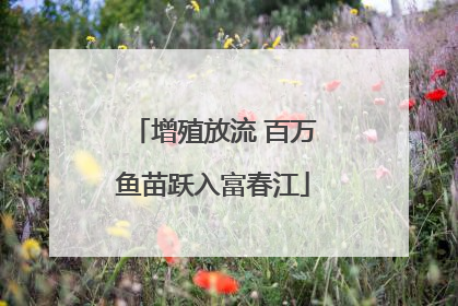 增殖放流 百万鱼苗跃入富春江