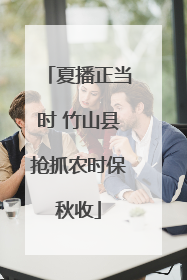 夏播正当时 竹山县抢抓农时保秋收
