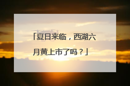 夏日来临，西湖六月黄上市了吗？