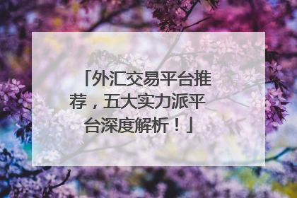 外汇交易平台推荐，五大实力派平台深度解析！
