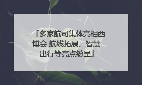多家航司集体亮相西博会 航线拓展、智慧出行等亮点纷呈